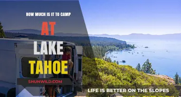 Camping at Lake Tahoe: Costs and Budget-Friendly Tips Revealed