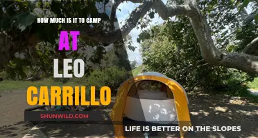 Camping at Leo Carrillo: Costs and Budget-Friendly Tips Revealed