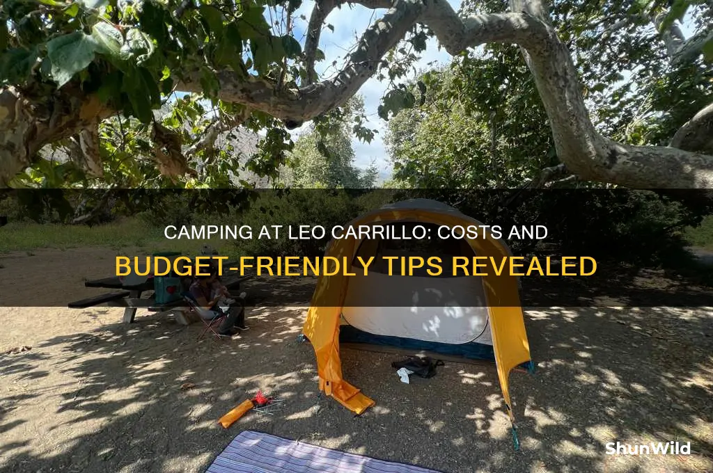 how much is it to camp at leo carrillo