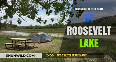 Roosevelt Lake Camping Costs: Affordable Adventure Awaits in Arizona