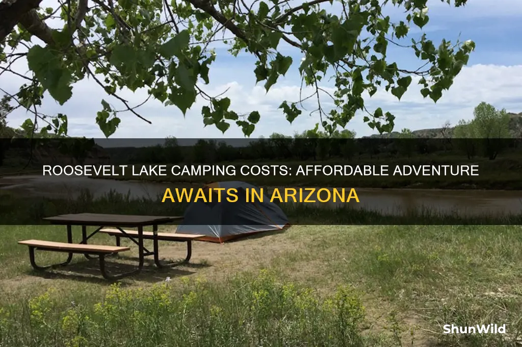 how much is it to camp at roosevelt lake