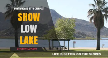 Camping at Show Low Lake: Costs and Budget-Friendly Tips