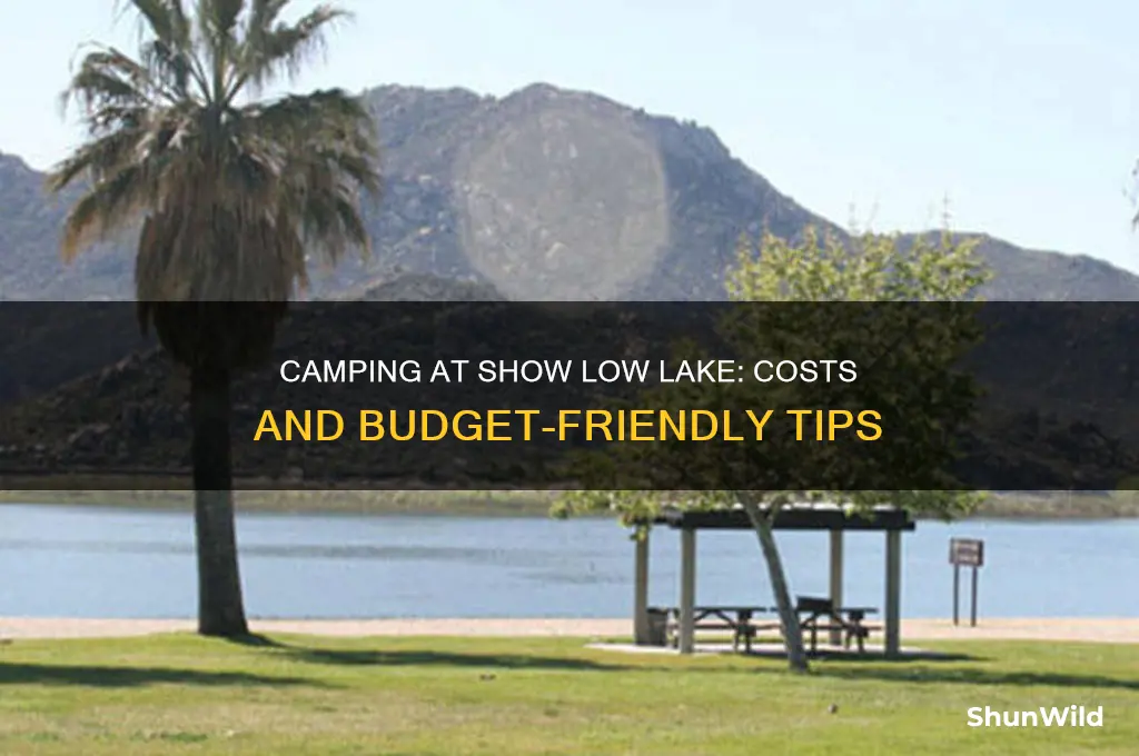 how much is it to camp at show low lake