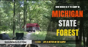 Camping in Michigan State Forests: Cost Breakdown and Budget Tips