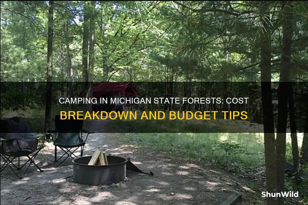 how much is it to camp in michigan state forest