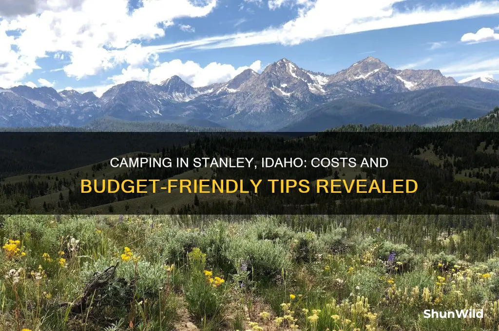 how much is it to camp in stanley idaho