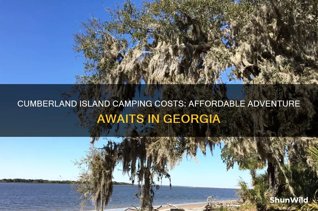 how much is it to camp on cumberland island
