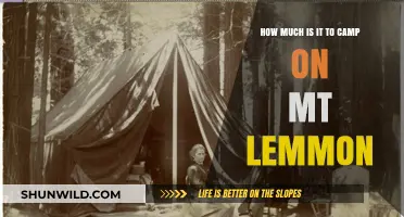 Camping on Mt. Lemmon: Costs and Budget-Friendly Tips Revealed