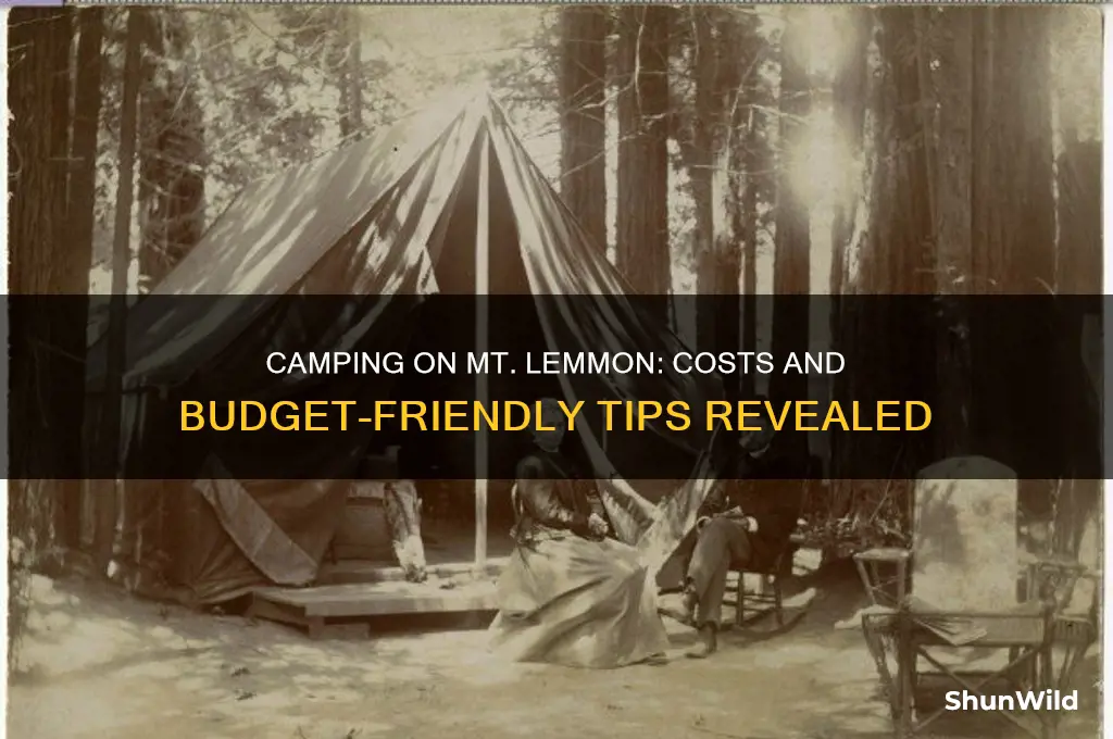 how much is it to camp on mt lemmon