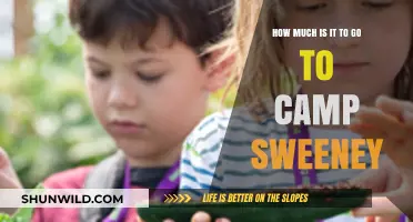 Camp Sweeney Cost: Affordable Diabetes Adventure for Kids