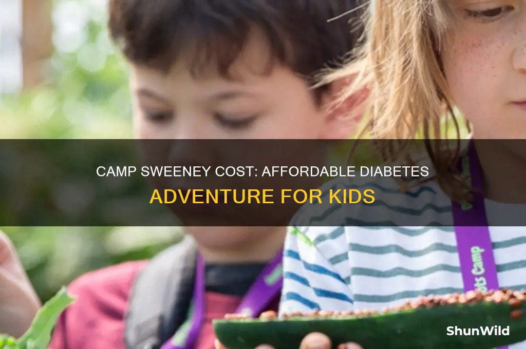 how much is it to go to camp sweeney