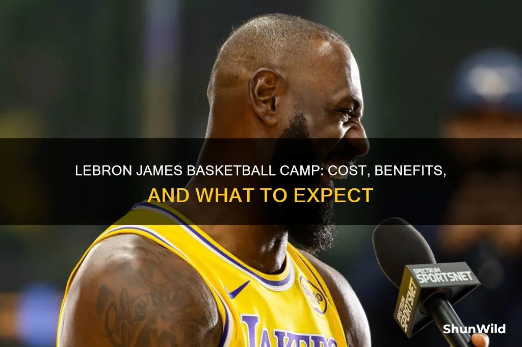 how much is lebron james basketball camp
