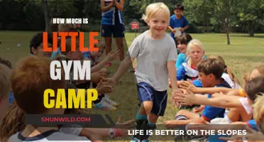 Little Gym Camp Costs: Affordable Summer Fun for Kids