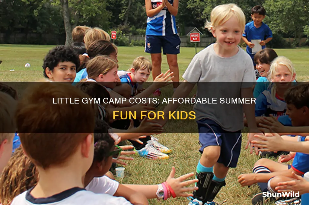 how much is little gym camp