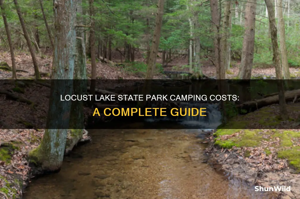how much is locust lake state park camping