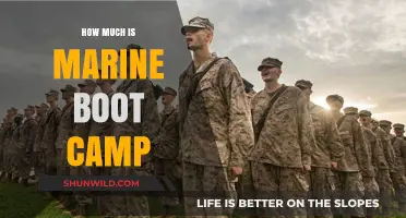 Marine Boot Camp Cost: What to Expect Financially and Physically