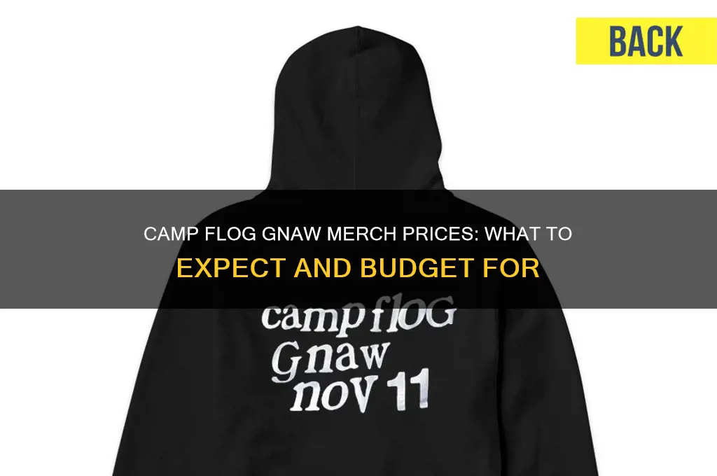how much is merch at camp flog gnaw