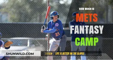 Mets Fantasy Camp Cost: What to Expect for Your Dream Experience