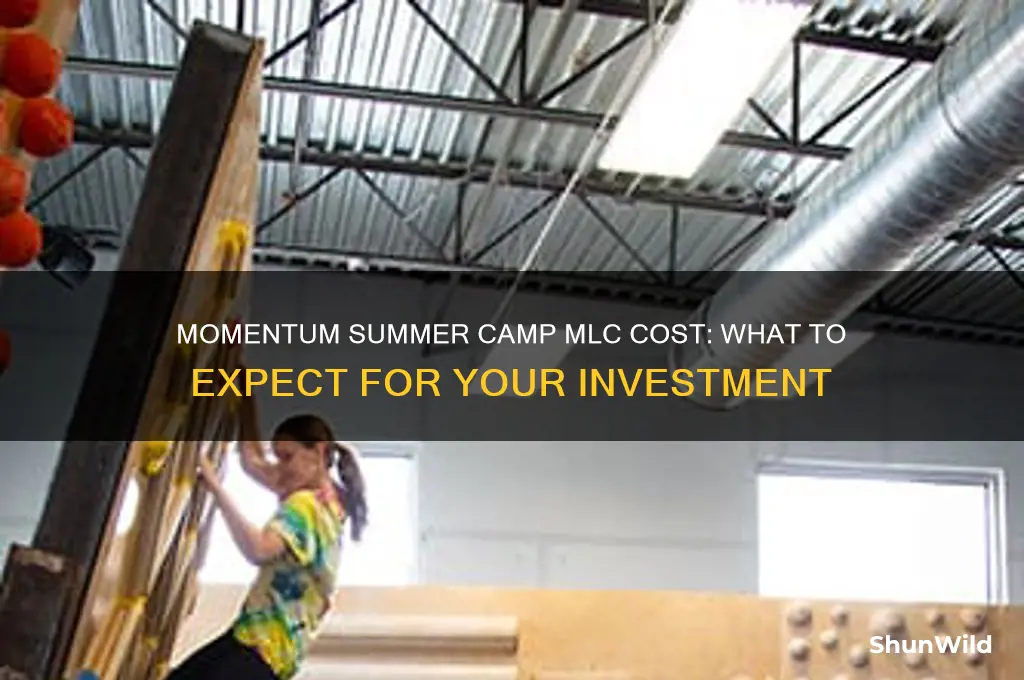 how much is momentum summer camp mlc