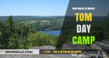Mount Tom Day Camp Costs: What to Expect for Summer Fun