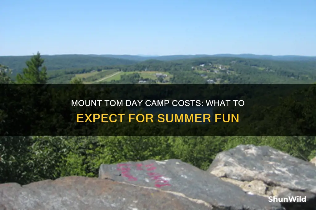 how much is mount tom day camp