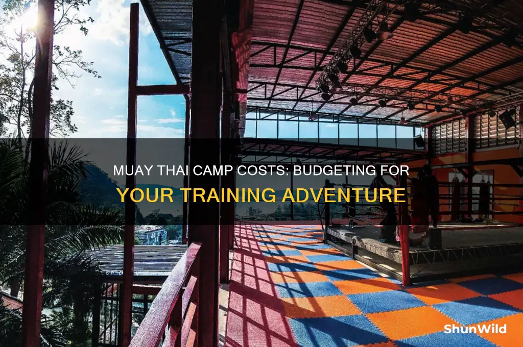how much is muay thai camp