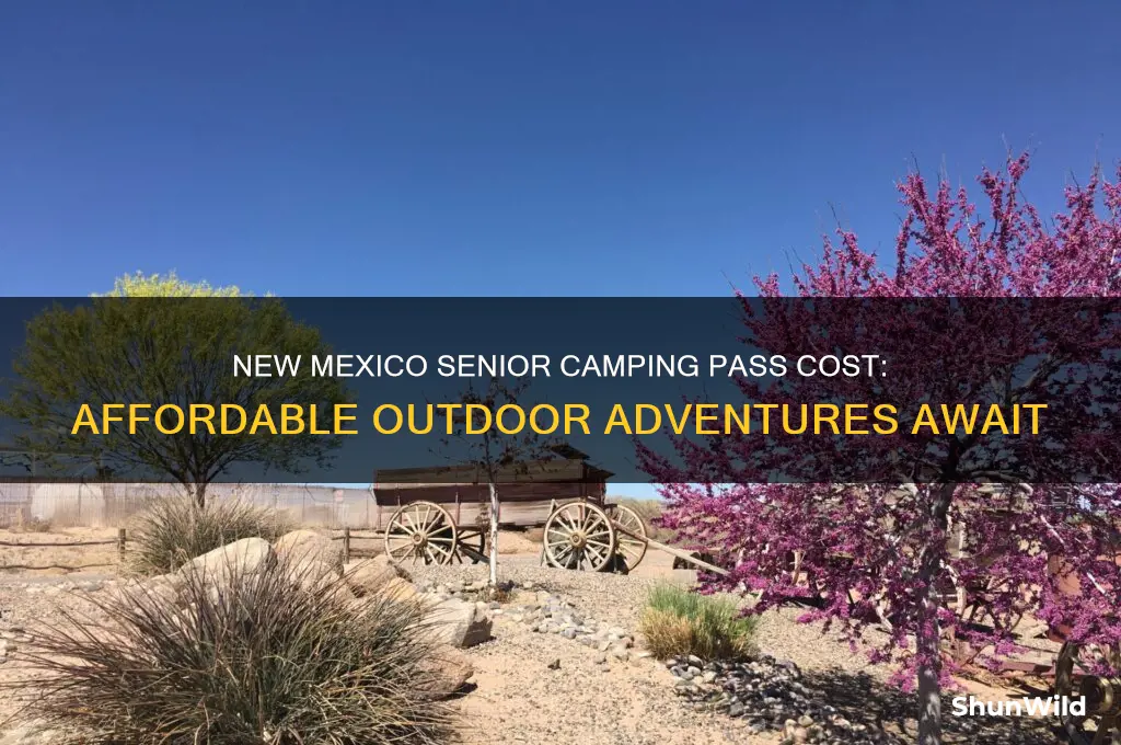 how much is new mexico senior parks camping pass