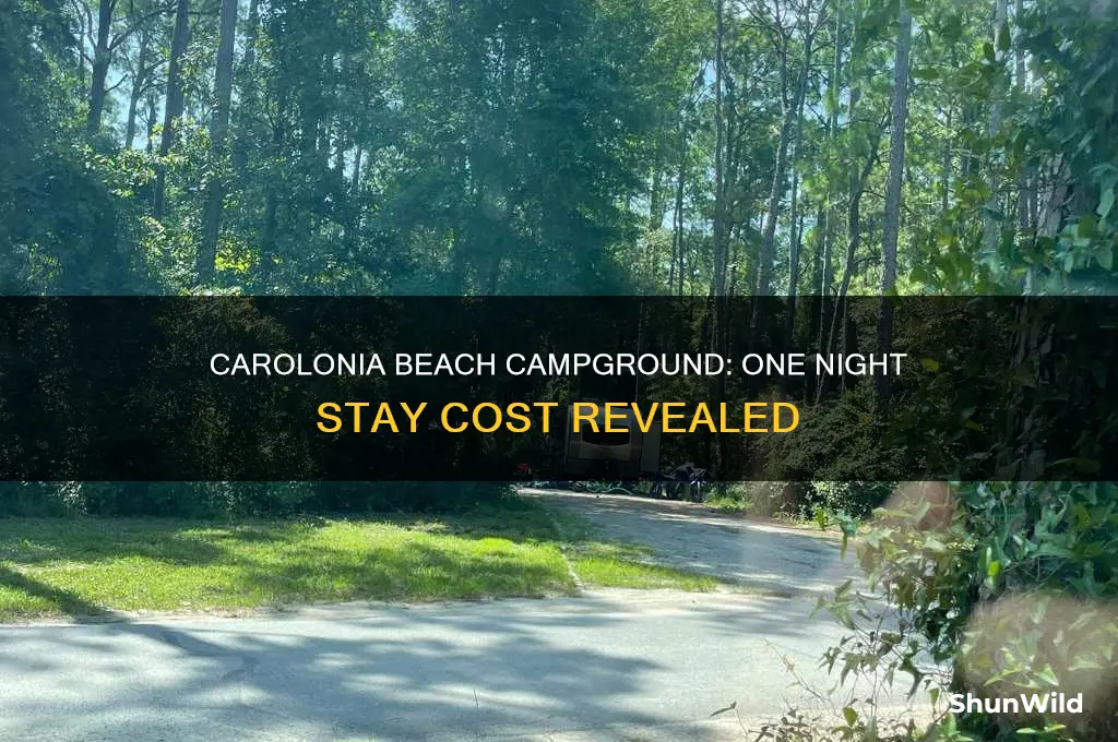 how much is one night camp ground at carolonia beach