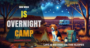 Overnight Camp Costs: Budgeting for Your Child’s Summer Adventure