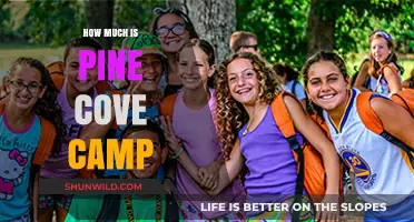 Pine Cove Camp Costs: What to Expect for Your Summer Adventure