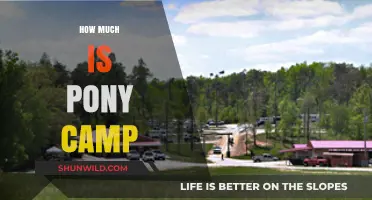 Discover the Cost of Pony Camp: A Budget-Friendly Guide