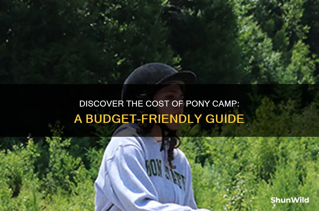 how much is pony camp