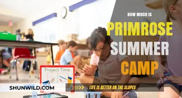Primrose Summer Camp Costs: Affordable Fun for Kids This Season