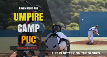 Pro Umpire Camp PUC Cost: What to Expect for Training