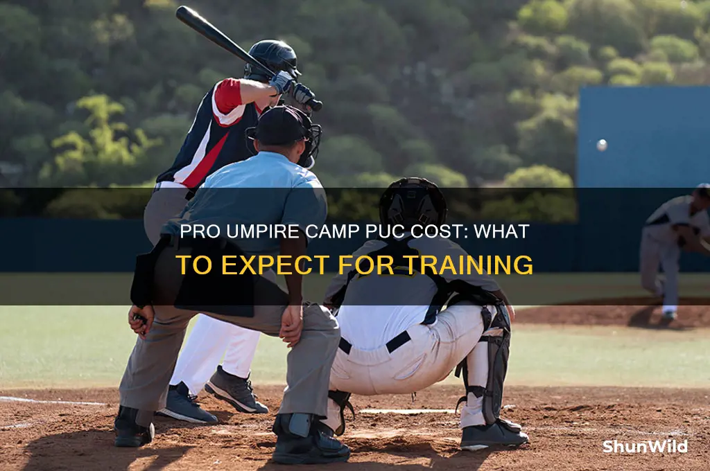 how much is pro umpire camp puc