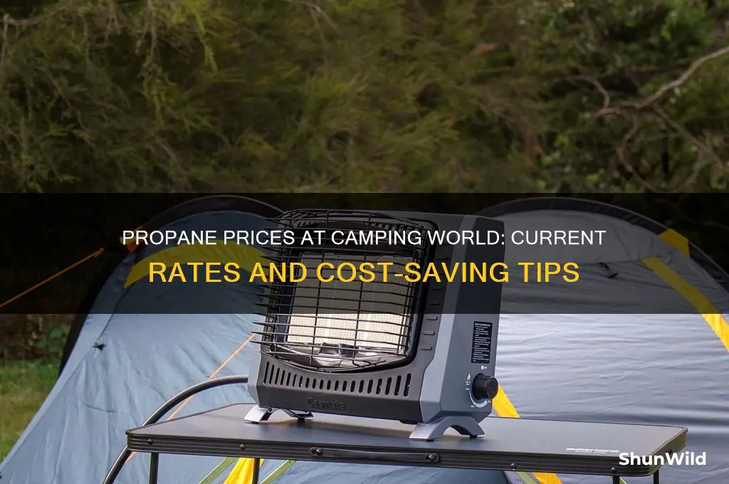 how much is propane at camping world