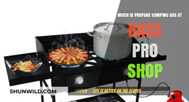 Propane Camping Gas Prices at Bass Pro Shops: What to Expect
