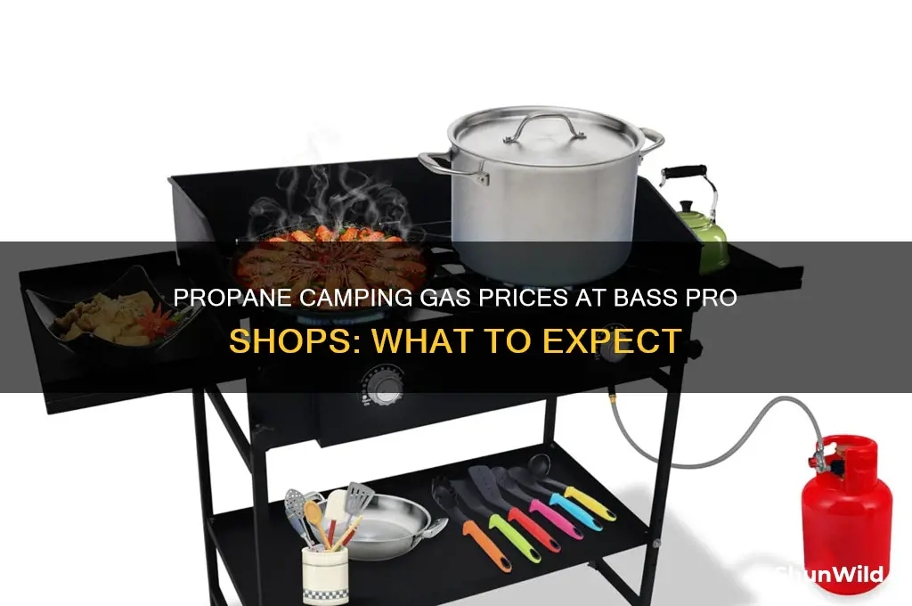 how much is propane camping gas at bass pro shop