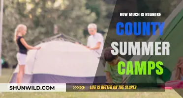 Roanoke County Summer Camps: Costs, Programs, and Registration Details