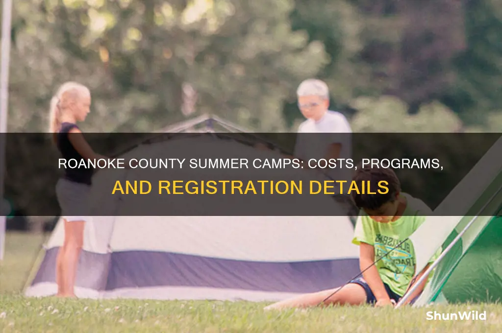 how much is roanoke county summer camps