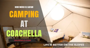 Coachella Safari Camping Costs: What to Expect for a Luxe Experience