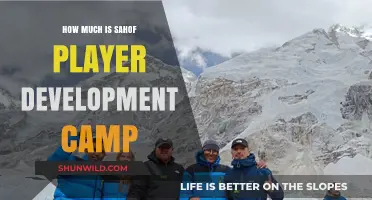 Sahof Player Development Camp Cost: What to Expect