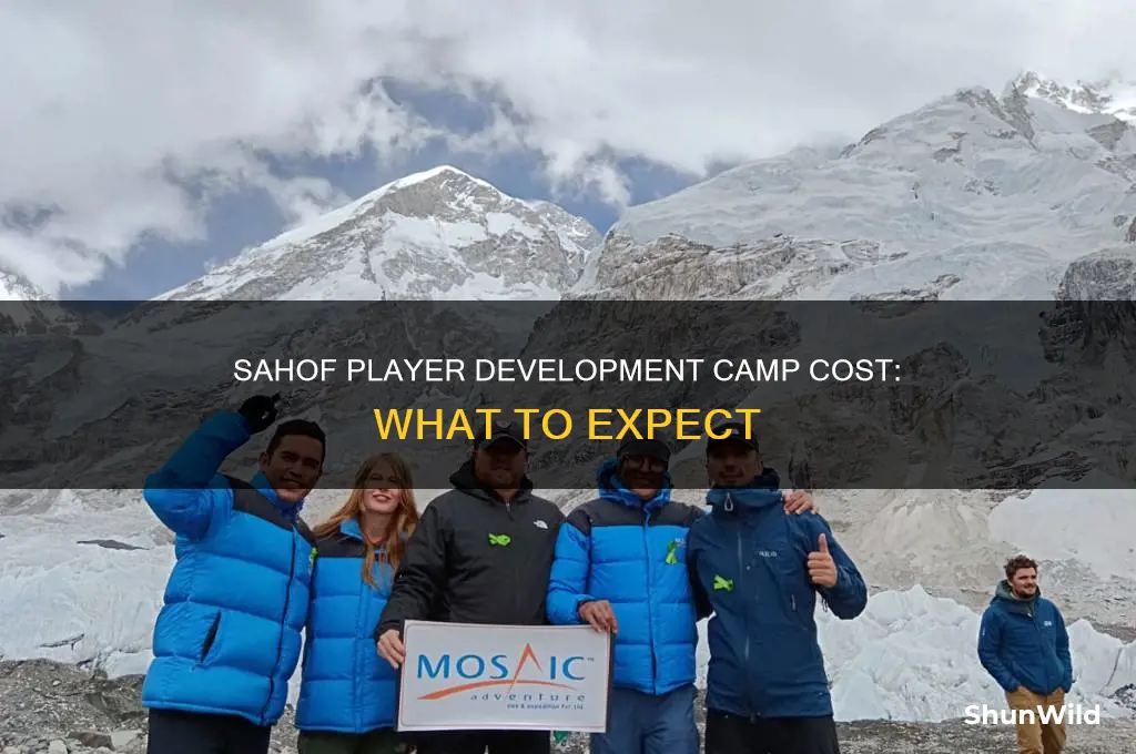 how much is sahof player development camp