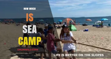 Exploring Sea Camp Costs: What to Expect for Your Adventure