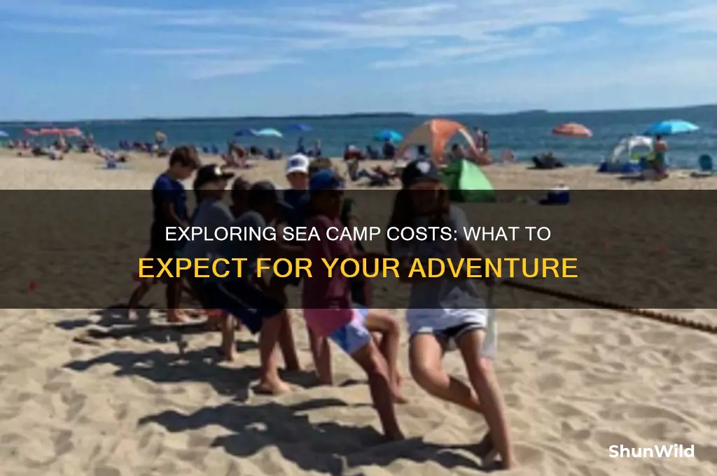 how much is sea camp