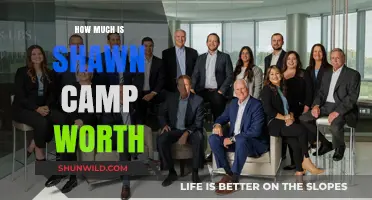 Shawn Camp's Net Worth: Unveiling the Country Star's Financial Success
