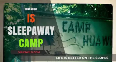 Sleepaway Camp Costs: Budgeting for Summer Adventures and Memories