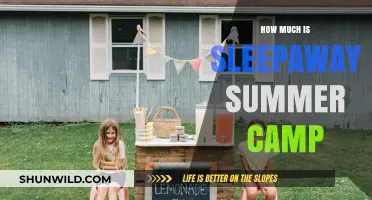 Sleepaway Summer Camp Costs: Budgeting for Your Child’s Adventure