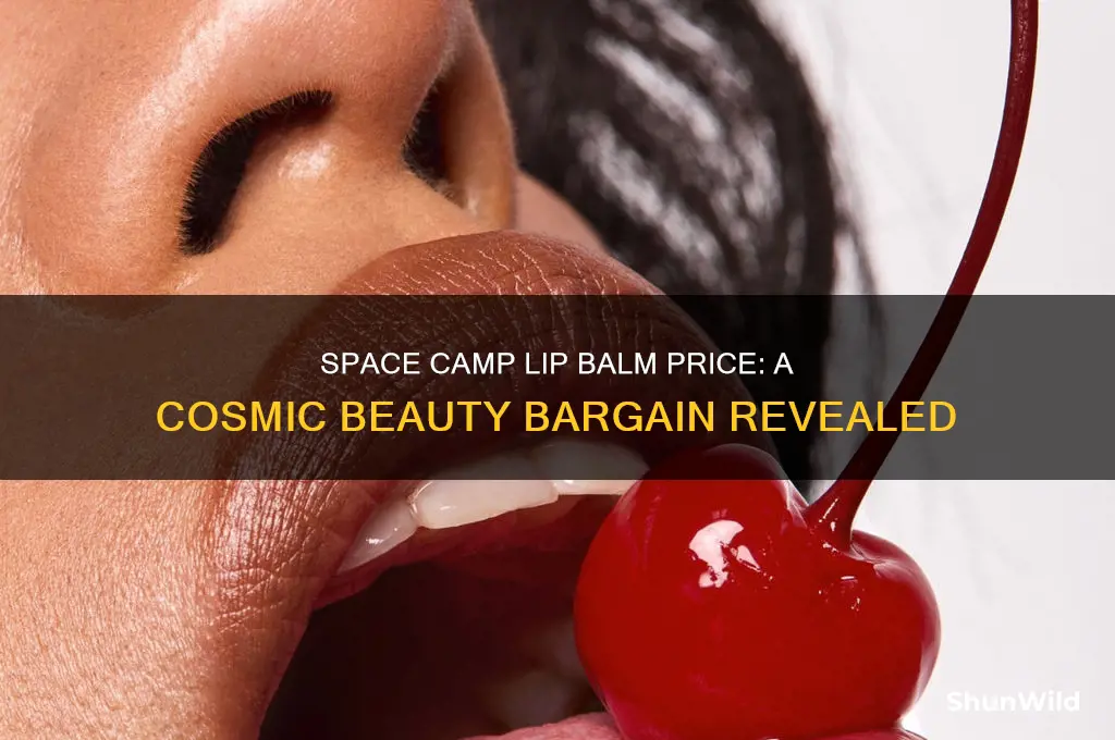 how much is space camp lip balm