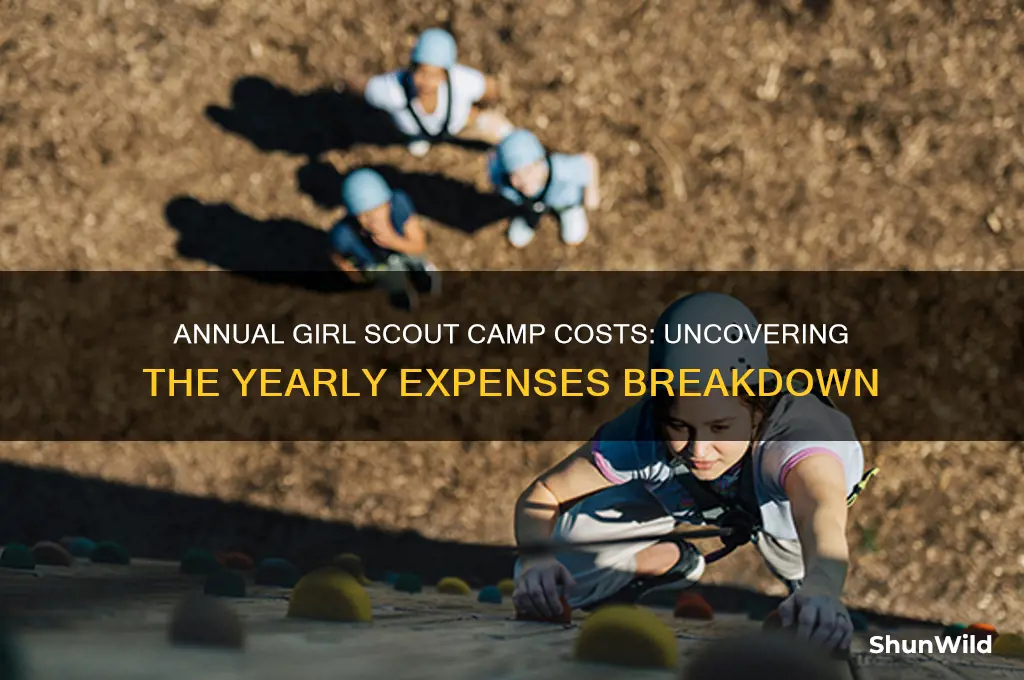 how much is spent on girl scout camp every year